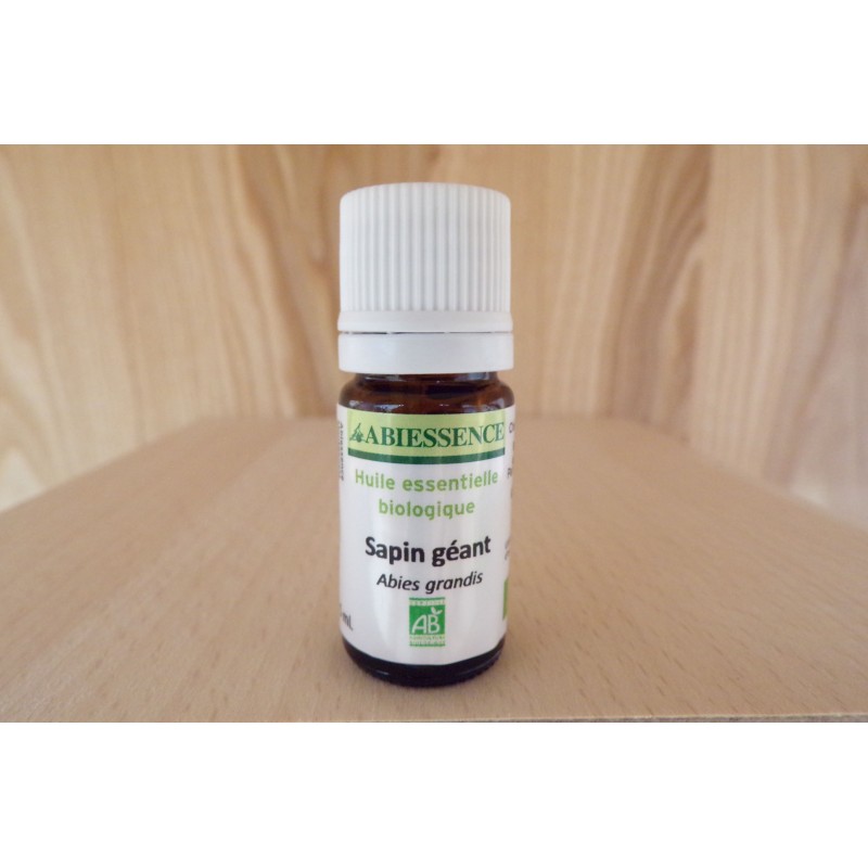 Sapin Géant - HE Sapin Géant - HE