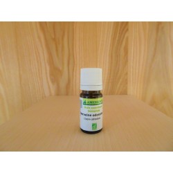 Huile Essentielle Biologique Verveine Odorante