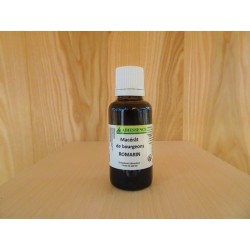 Macérat de bourgeons de Romarin - 30ml