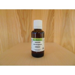 Macérat de bourgeons de Ginkgo - 30ml