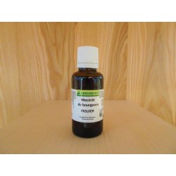 Macérat de bourgeons de Figuier - 30ml