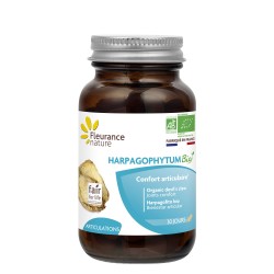 Harpagophytum - Articulations